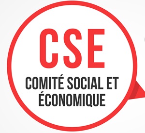 Comité social et économique